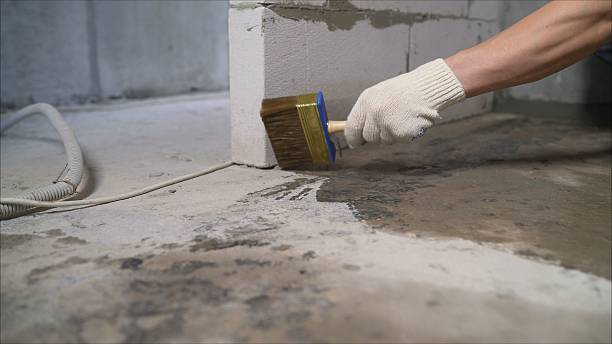 24/7 Emergency Emergency Waterproofing experts in Bannister, MI